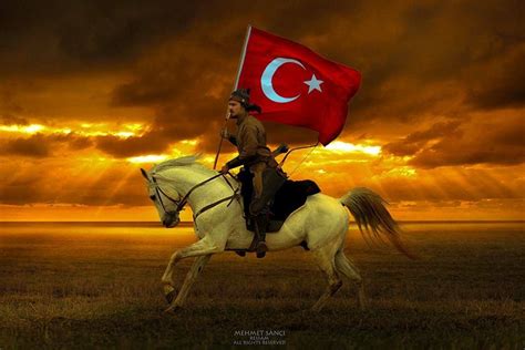 Türk atı